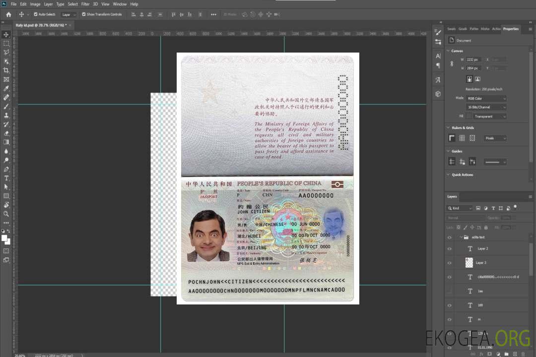 Passeport chinois (2013-présent) template